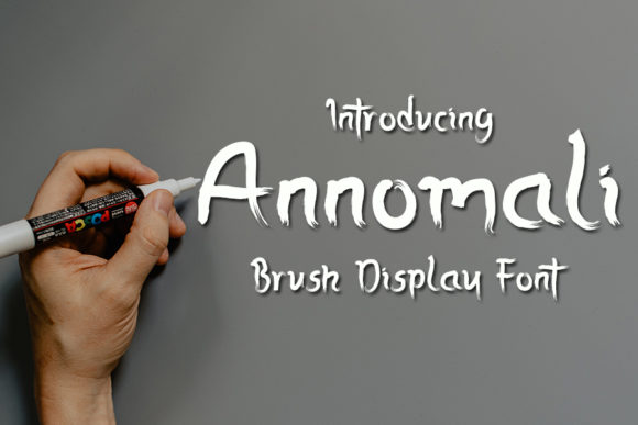 Annomali: A Designer’s Deep Dive into Its Personality and Practicality